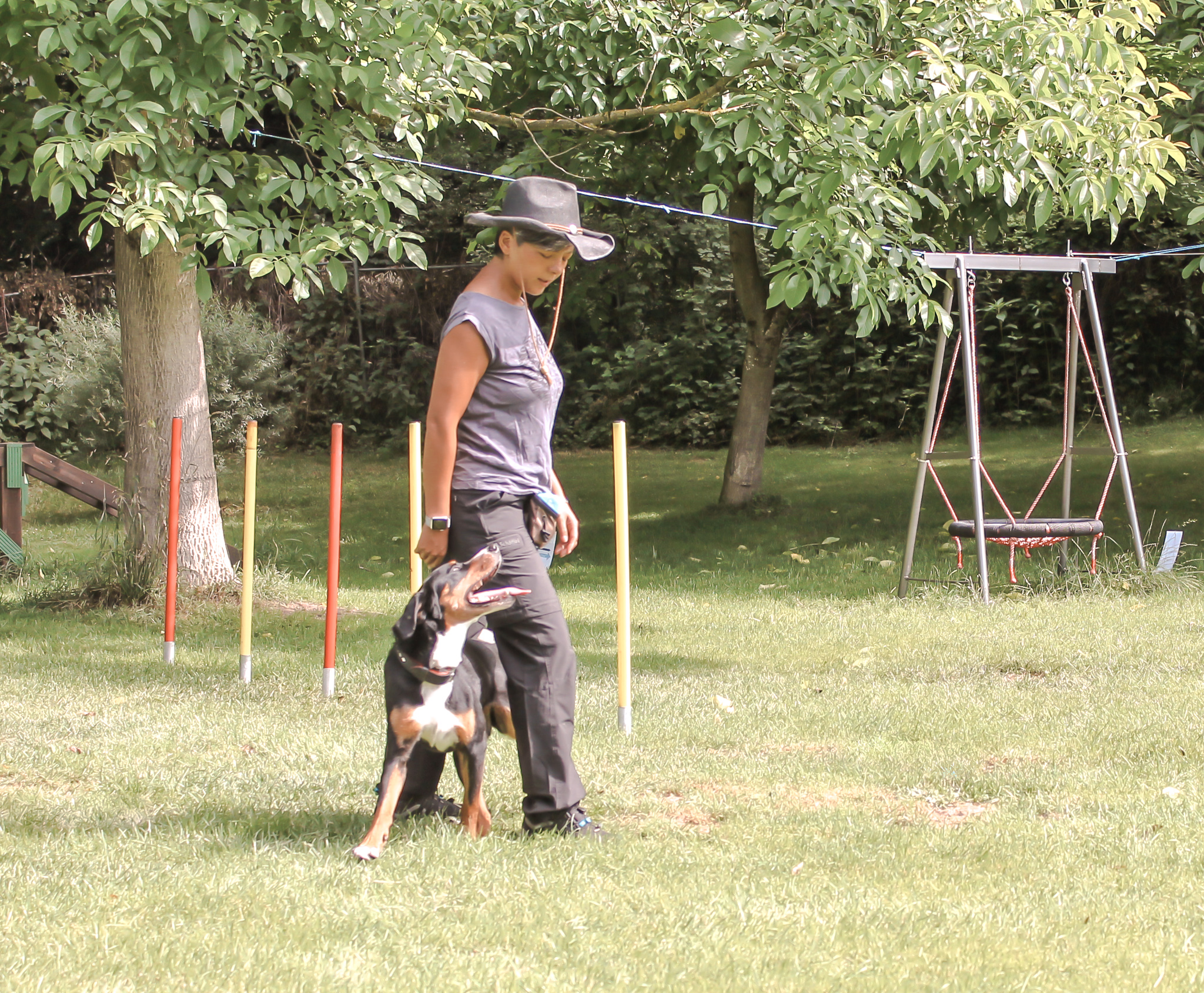 Frau mit Hund beim Trick Dog. training - Agility, Hoopers, Ausdauer