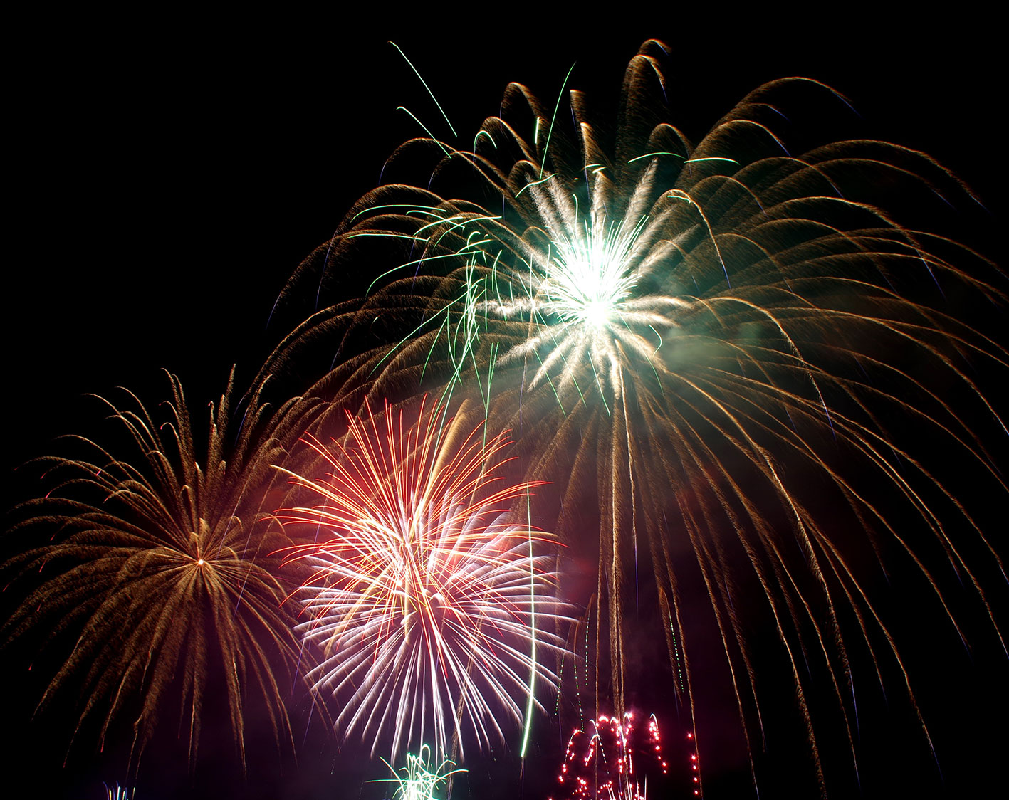 Silvester mit dem Hund